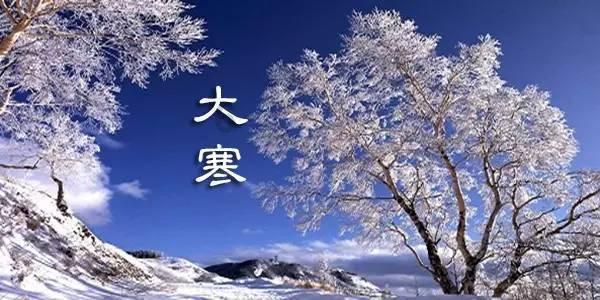 虫虫助手下载