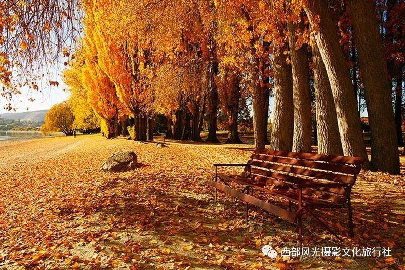 到了将来，2026年4月24日的女孩，大部分是头胎，对么？游戏画面