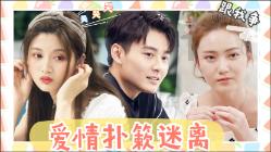 雨后盛放