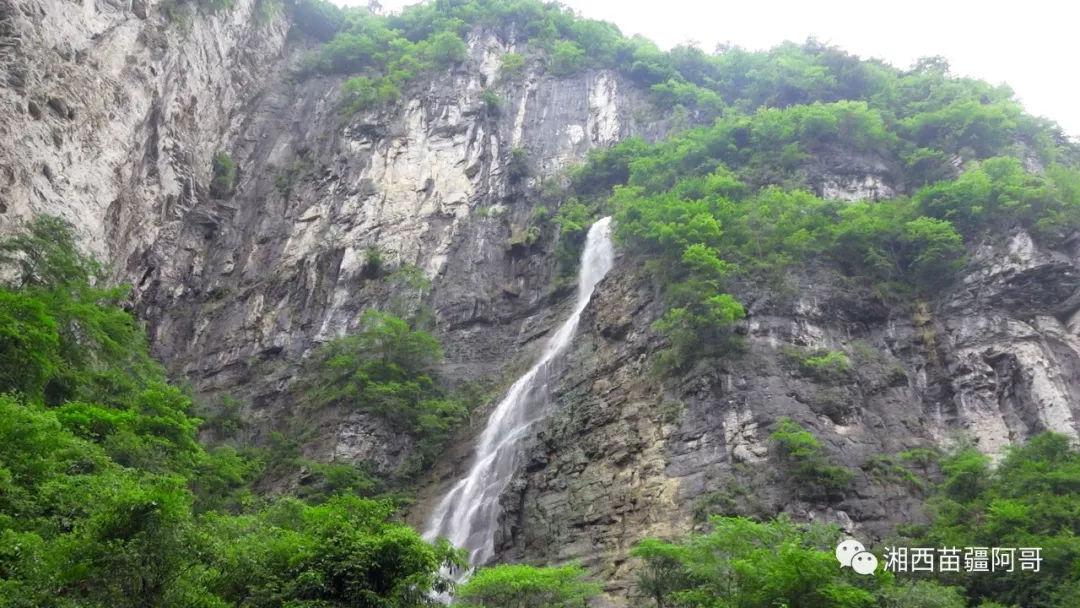 春雨直播app